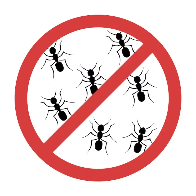 Mosquito Control Yuma AZ